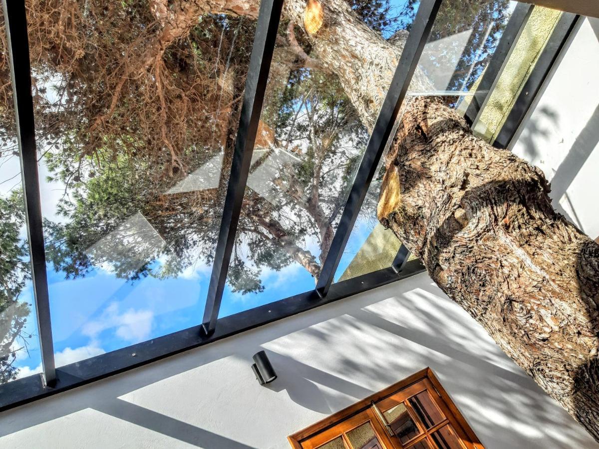 Beach Tree House Porto Santo Exterior foto